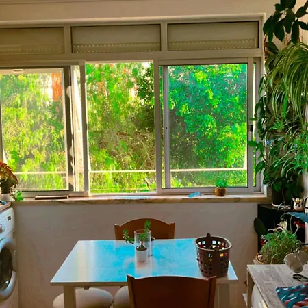 Apartamento Com Boa Luz E Localizacao Em Lisboa. Lejlighed